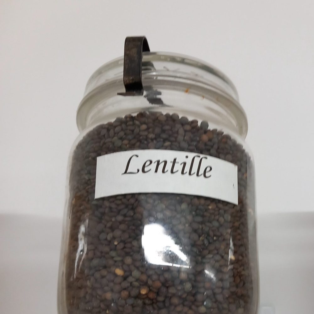 Graines de lentilles