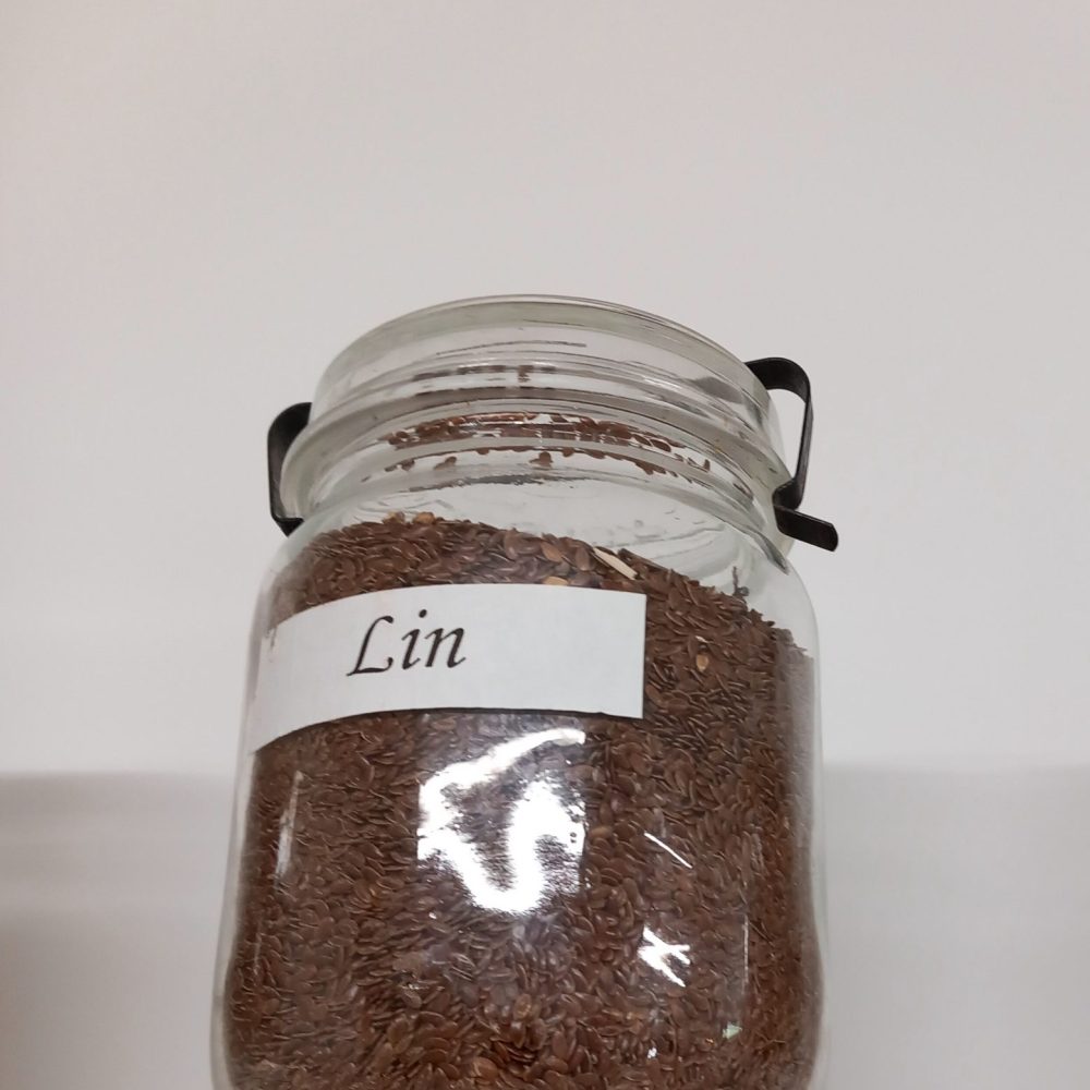 Graines de lin
