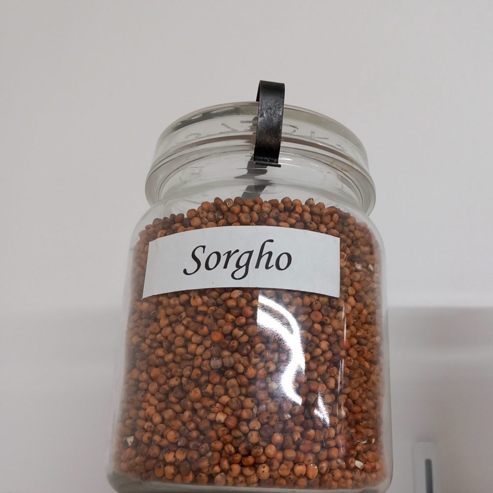 Graines de Sorgho